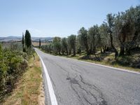 Tuscany Road Landscape with Clear Sky 001