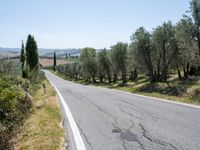 Tuscany Road Landscape with Clear Sky