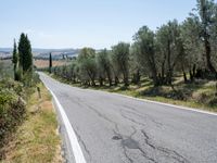 Tuscany Road Landscape with Clear Sky 003