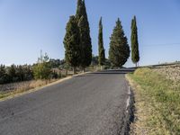 some trees and a street lined with grass near a hill and road side and blue sky in the background