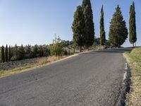 some trees and a street lined with grass near a hill and road side and blue sky in the background