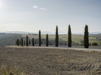 Rugged Landscape of Tuscany: Trees on a Hill