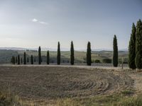 Rugged Landscape of Tuscany: Trees on a Hill