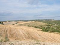 Rural Landscape in Tuscany: Clear Sky and Open Spaces