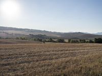 Tuscany Rural Landscape: A Day with Clear Sky