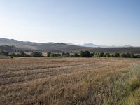 Tuscany Rural Landscape: A Day with Clear Sky