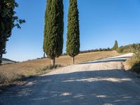 Rural landscape in Tuscany, Italy