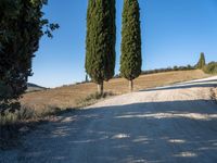 Rural landscape in Tuscany, Italy