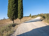 Rural landscape in Tuscany, Italy