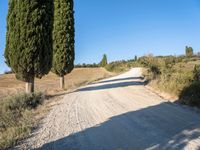 Rural landscape in Tuscany, Italy