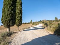 Rural landscape in Tuscany, Italy