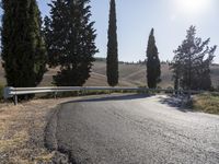 a scenic country road curves into an empty area near tall trees and green hills and shrubs