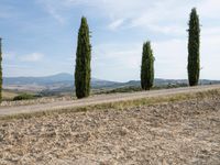 Tuscany Rural Road in European Landscape