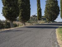 Tuscany Scenic Drive Through Cypress Trees