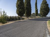 Tuscany Scenic Drive with Cypress Trees