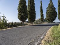 Tuscany Scenic Drive Through Cypress Trees