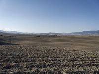 the hills are empty and visible in this landscape of sparse farmland, and a dirt road leading