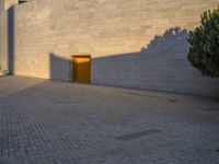 a tree is casting shadows on the surface of an outdoor space and sidewalk, at twilight