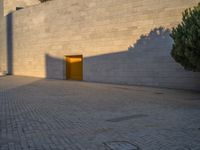 a tree is casting shadows on the surface of an outdoor space and sidewalk, at twilight