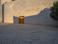 a tree is casting shadows on the surface of an outdoor space and sidewalk, at twilight