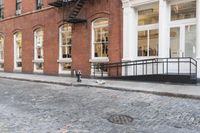 two cats and an umbrella are sitting on the sidewalk in front of a building with doors