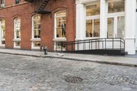 two cats and an umbrella are sitting on the sidewalk in front of a building with doors