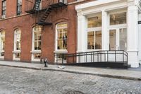 two cats and an umbrella are sitting on the sidewalk in front of a building with doors