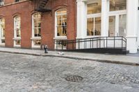 two cats and an umbrella are sitting on the sidewalk in front of a building with doors