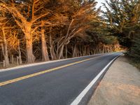 a paved road with trees lining both sides of it and yellow lines on the middle and sides of it