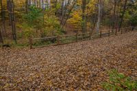 two people walking past a wooden fence along side a wooded trail with yellow and brown leaves