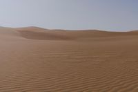 UAE Desert Off-Road Track Dunes