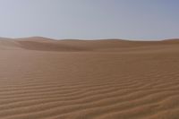 UAE Desert Off-Road Track Dunes 002