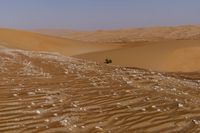 a lone tree in the middle of the desert against the background of large sand dunes with dirt