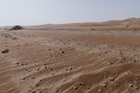 a lone tree in the middle of the desert against the background of large sand dunes with dirt