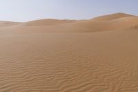 UAE's Sahara Desert: Clear Sky and Majestic Dunes