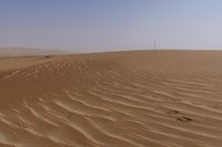 some brown sand dirt and trees in the background in this desert landscape area, with a bright blue sky above