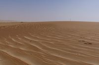 some brown sand dirt and trees in the background in this desert landscape area, with a bright blue sky above