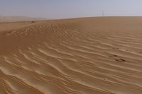 some brown sand dirt and trees in the background in this desert landscape area, with a bright blue sky above