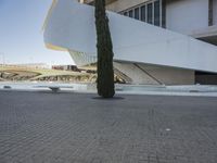 a lone tree stands alone in front of an unusual building in the sun with a blue sky