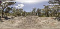 an upside down skateboarder is riding down a dirt covered ramp in front of trees