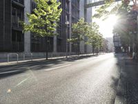 the street in front of a tall building on a sunny day with trees on both sides