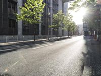 the street in front of a tall building on a sunny day with trees on both sides