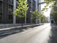 the street in front of a tall building on a sunny day with trees on both sides