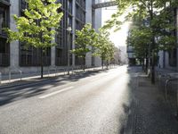 the street in front of a tall building on a sunny day with trees on both sides