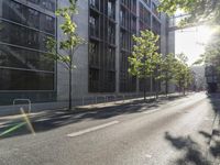 the street in front of a tall building on a sunny day with trees on both sides