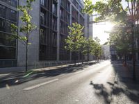 the street in front of a tall building on a sunny day with trees on both sides