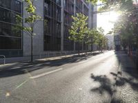 the street in front of a tall building on a sunny day with trees on both sides