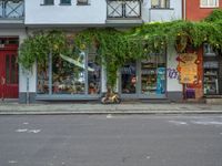 Urban Architecture in Berlin's Art District