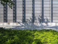 the grass is neatly arranged in a green field by the concrete structure that looks like a wall with horizontal horizontal windows