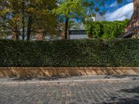 a long empty brick street with tall buildings in the background on a sunny day with some people walking around